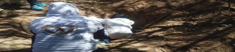 Suman 27 los cuerpos localizados en fosas clandestinas en Sonora