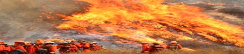 En Oaxaca, 150 incendios forestales dañan más de 8 mil hectáreas