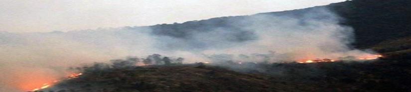 Registran 9 mil 730 hectáreas afectadas por incendios en Edoméx