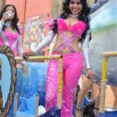 Primer desfile de Carnaval Ensenada 2014