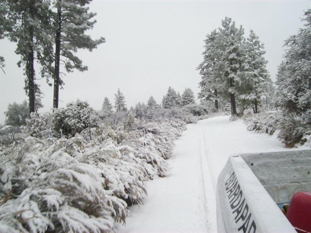 Cae nevada en la Sierra de San Pedro