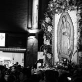 Celebración a la Virgen de Guadalupe en Tijuana