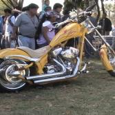 Expo Low Rider
