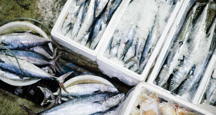 Estos son los riesgos de comer mariscos crudos en verano