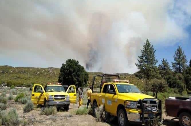 Fuego arrasa 270 hectáreas en Valle de los Pinos en Tecate
