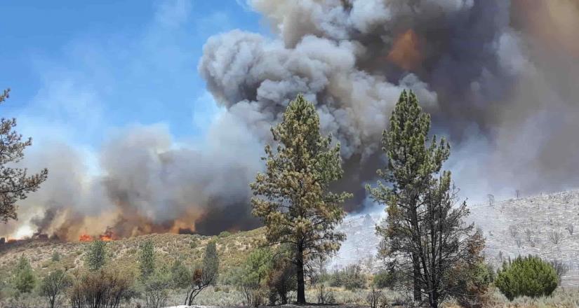 Fuertes incendios forestales invaden zona rural