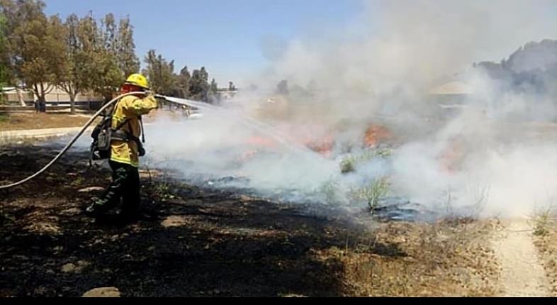 Incendio forestal de Valle de los Pinos en Tecate es controlado al 65%