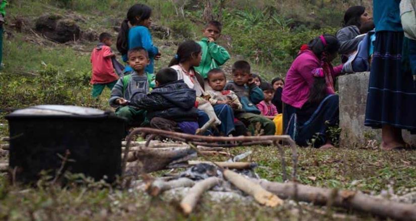 En México, 380 mil desplazados por el crimen en 10 años: experta