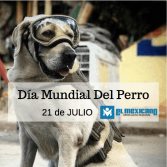 Día Mundial del Perro| Lectores de EL Mexicano nos comparten sus fotos