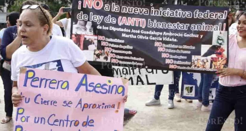 Marchan en Yucatán contra el maltrato animal