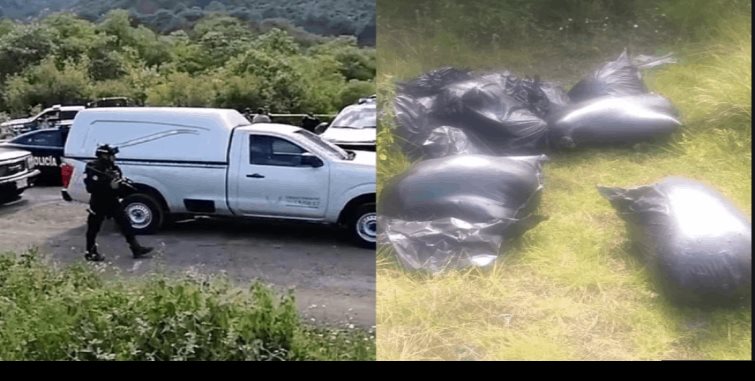Restos hallados en bolsas en Veracruz son de 4 personas: Fiscalía