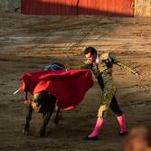 Corrida de Toros en Fiesta de Vendimia  LA CETTO  del Valle de Guadalupe