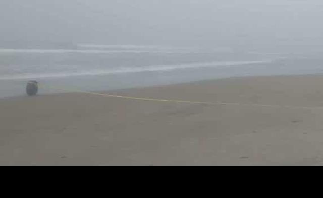 Arroja el mar un ahogado en playa de Vicente Guerrero