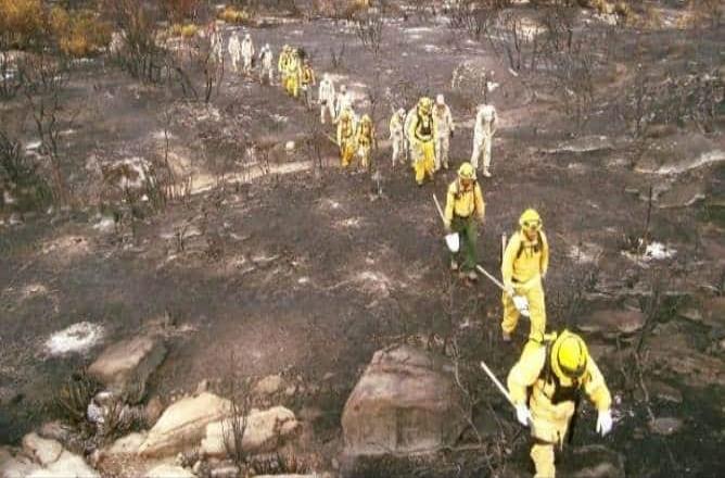 Disminuyen los incendios forestales en Tecate, pasa de 80 a 21 registros