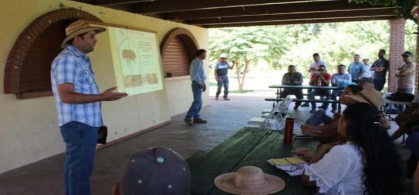 Capacitan a personal de parques y jardines del municipio de Tecate