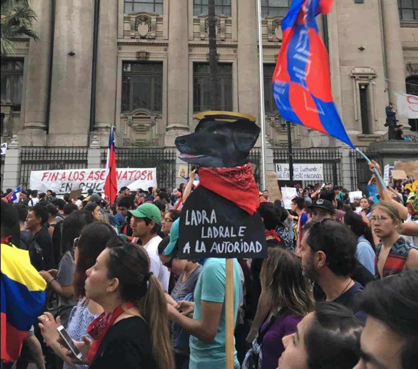 Negro Matapacos, el estandarte de las manisfestaciones en Chile