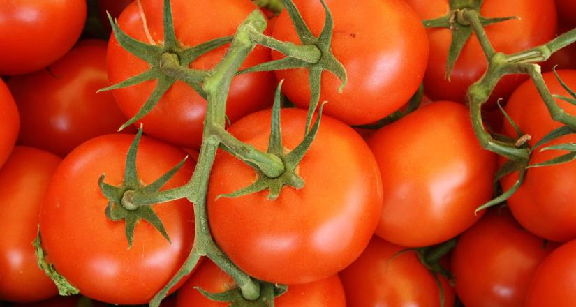 Aduanas de EU anuncian inspecciones de tomates para evitar virus