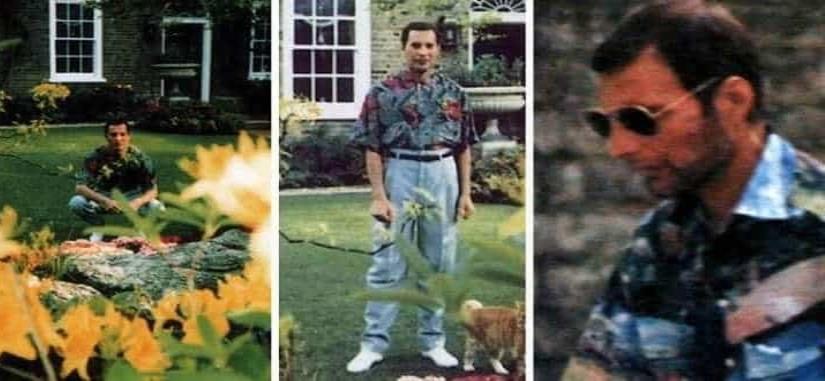 #FOTONOTA: Un día como hoy...  Freddie Mercury anuncia que era portador de VIH