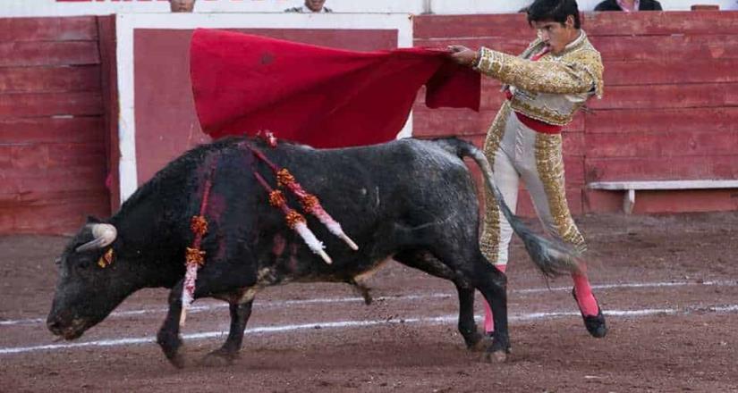 Ley de Bienestar Animal tambalean corrida de toros en Cancún