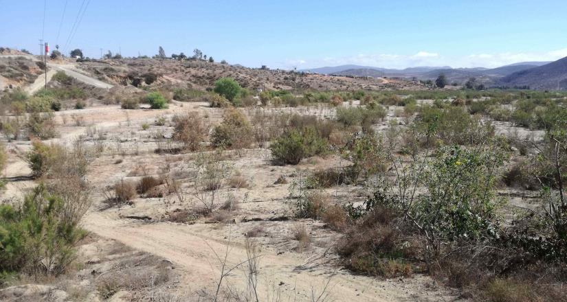 Buscan extraer arena de un arroyo en Colonet