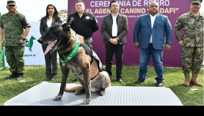 En ceremonia oficial, jubilan al mejor agente canino de Veracruz