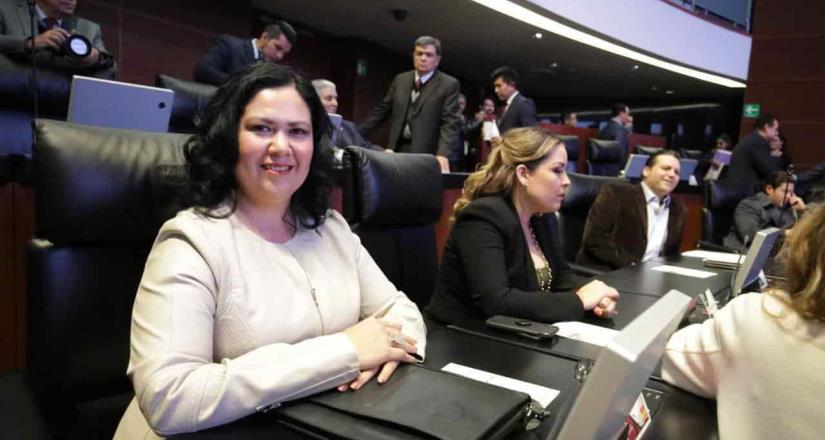 Irregularidades y violaciones al estado de derecho caracterizan a Constellation: Senadora Alejandra