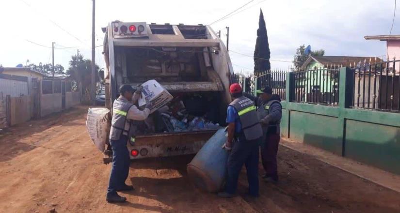 Recolectan la basura de la delegación Camalú