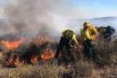 Sofocan incendio en Valle de las Palmas, Conafor y Bomberos de Tecate