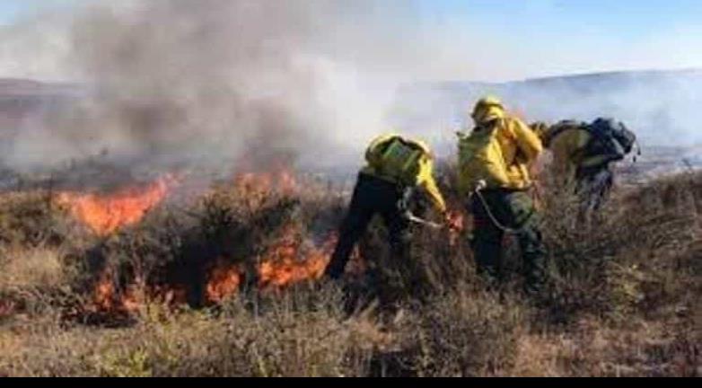 Sofocan incendio en Valle de las Palmas, Conafor y Bomberos de Tecate