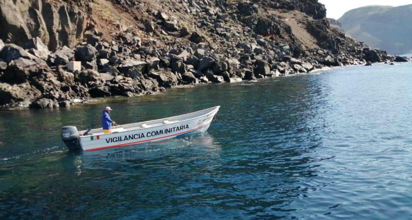 Rescataron pescadores lobo fino de Guadalupe