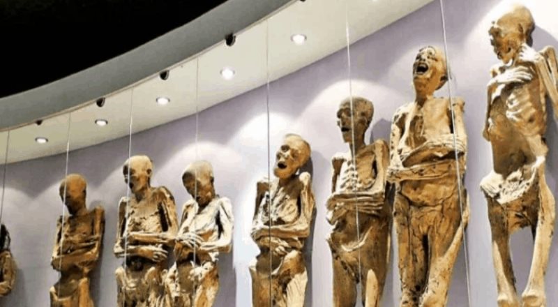 Museo de las Momias de Guanajuato, listo para reabrir sus puertas