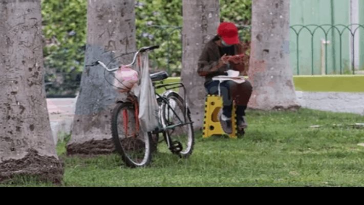 Por falta de internet, joven estudia desde un parque en Yucatán