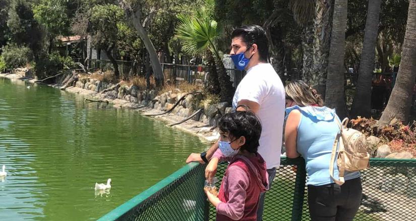 Disfrutan familias Día del Padre en parques Morelos y de la Amistad