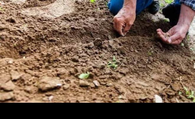 Sin estrategia del Gobierno, la recuperación y conservación del suelo en México