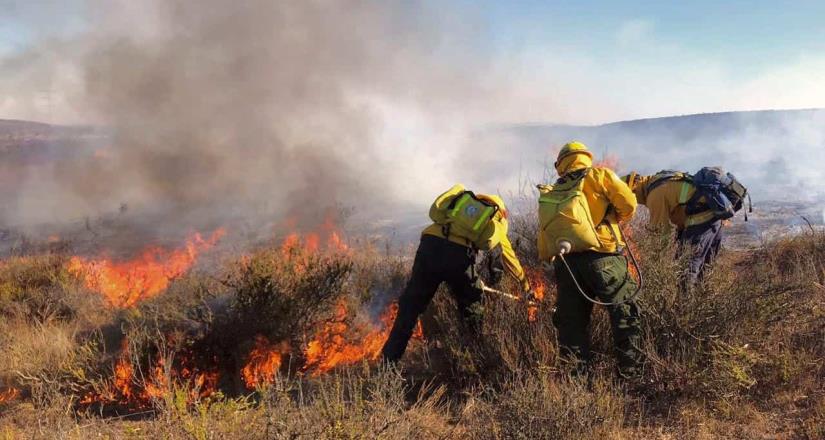 Por Su Día “Gracias” a los Combatientes de Incendios Forestales de BC: Jesús Alejandro Ruiz Uribe