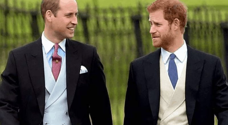 Príncipe William y Harry denunciados por una transacción ilegal