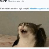 Twitter estalla de memes luego de la falla mundial de Zoom