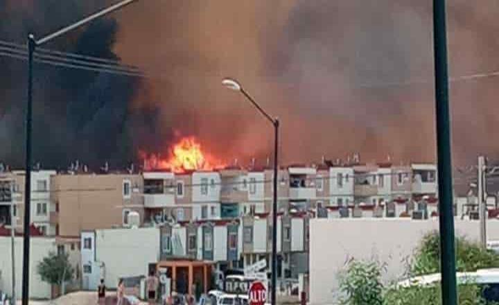 Atiende bomberos Tijuana dos incendios en pastizales en fraccionamiento  Natura y Bulevar 2000