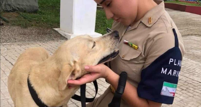 Marina adopta perrito que rescató en inundaciones de Tabasco