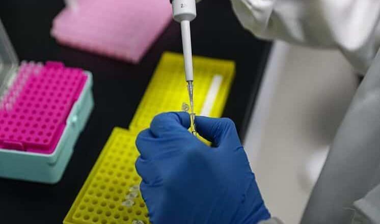 Nueva cepa de coronavirus más contagiosa llega a Estados Unidos