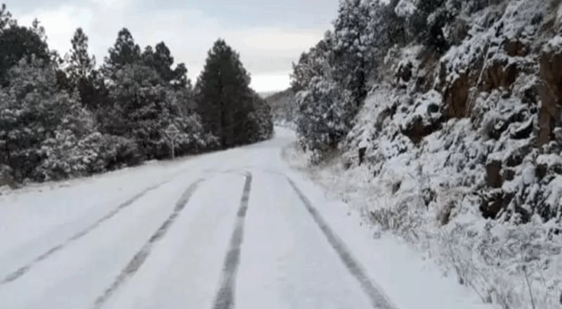 Reportan caída de nieve en 30 municipios de Chihuahua