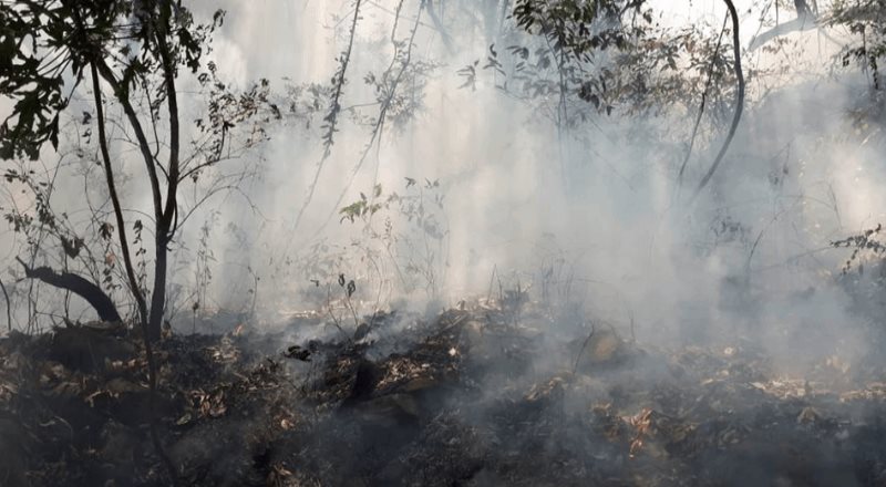 Trabajan en extinción de incendio en Parque Nacional Izta-Popo
