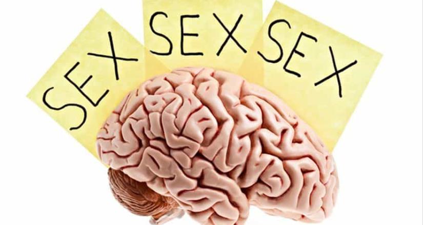 Revelan el impacto de la primera experiencia sexual en el cerebro
