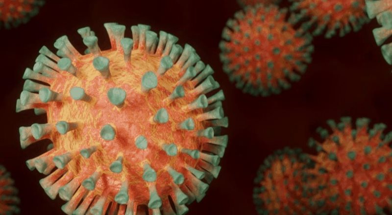 Identifican en Tamaulipas un caso de la nueva cepa de coronavirus