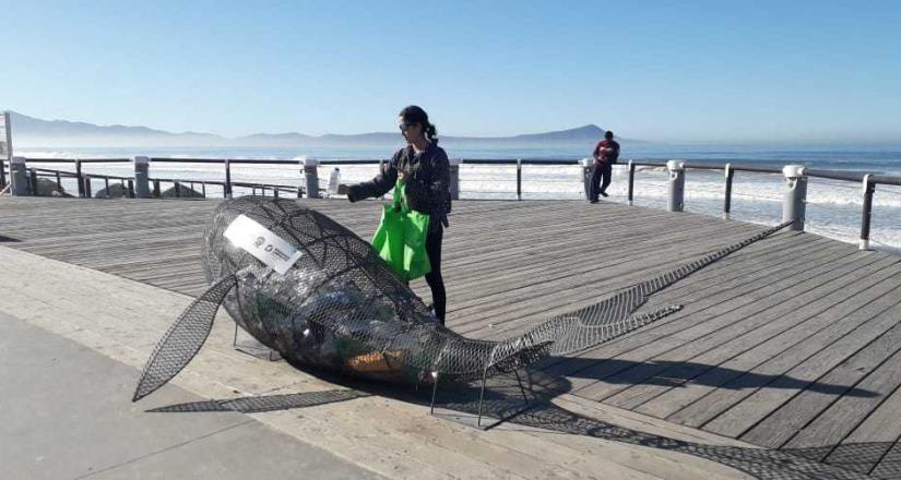 Retiró Zofemat 254 toneladas de basura de las playas en 2020