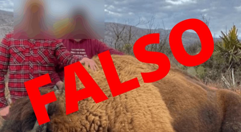 Se difunden imágenes donde aparentemente cazan a los bisontes americanos de Coahuila