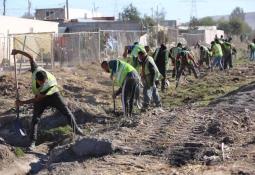 Secretaría del Campo informó sobre acumulado de horas frío en cultivo de Trigo en Valle de Mexicali