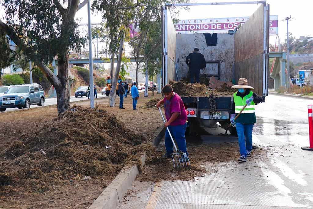 Retira Ayuntamiento 15 toneladas de basura durante Sábado Verde en el Bulevar Rosas Magallón