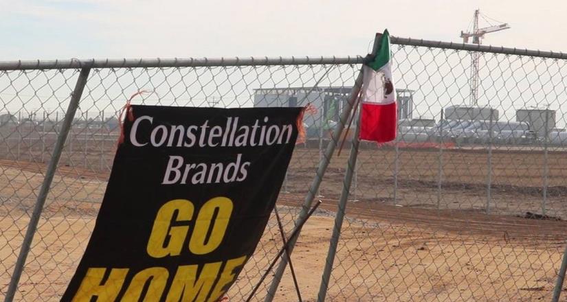 Constellation lleva equipos de Mexicali a otras plantas