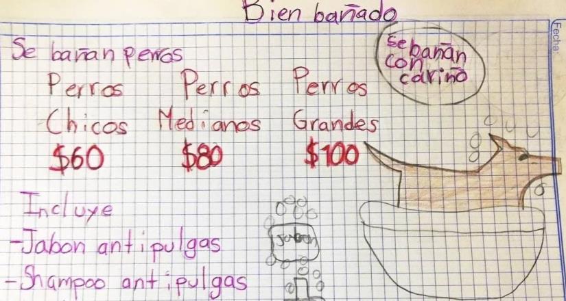Niño baña perros en Apodaca para pagar carrera de veterinario